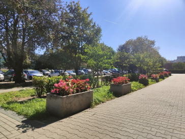 Mieszkanie Sprzedaż Warszawa Targówek Krasiczyńska